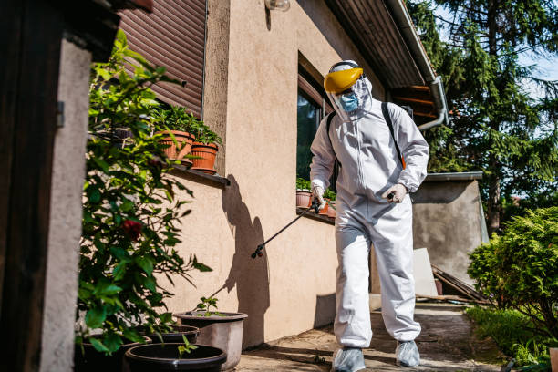 Best Insect Control  in Englewood, CO