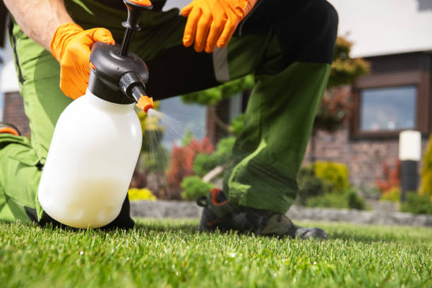 Trusted Englewood, CO Pest Control Experts