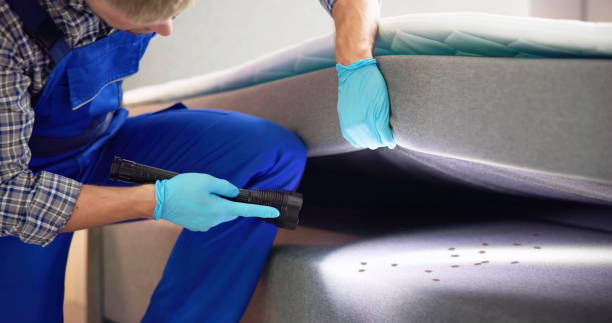 Best Best Pest Control Companies  in Englewood, CO